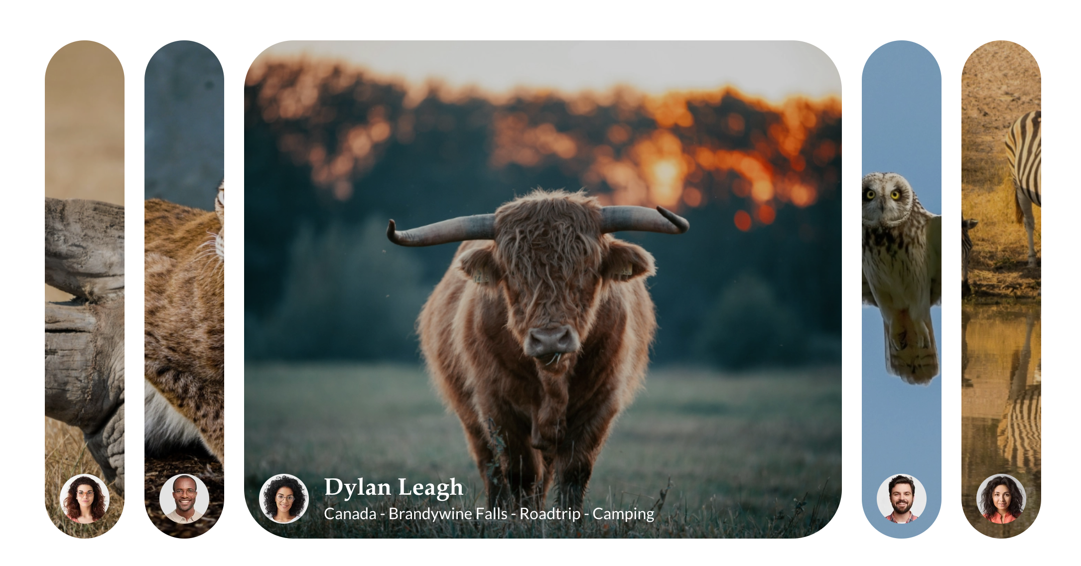 Rounded border, image avatars